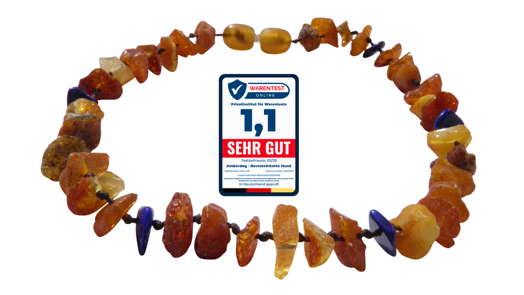 Hunde Bernsteinkette Lapislazuli - TierVita