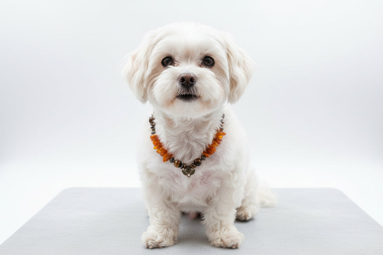 Amberdog – Bernsteinkette mit Malachit & Tigerauge 37cm