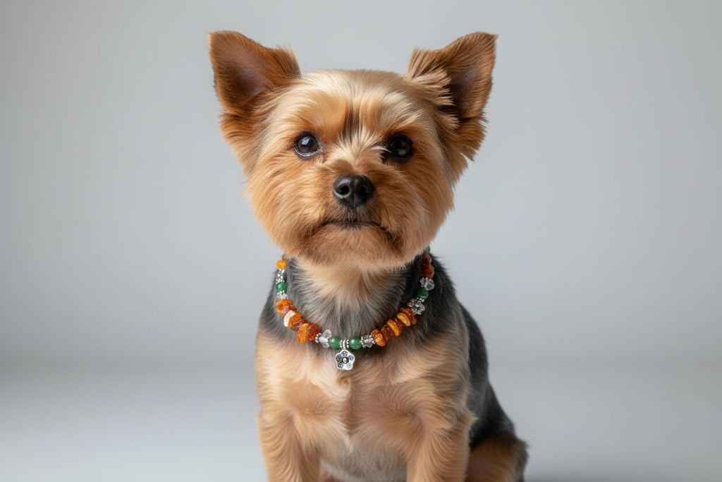 Hunde Bernsteinkette mit Jade Länge 33cm