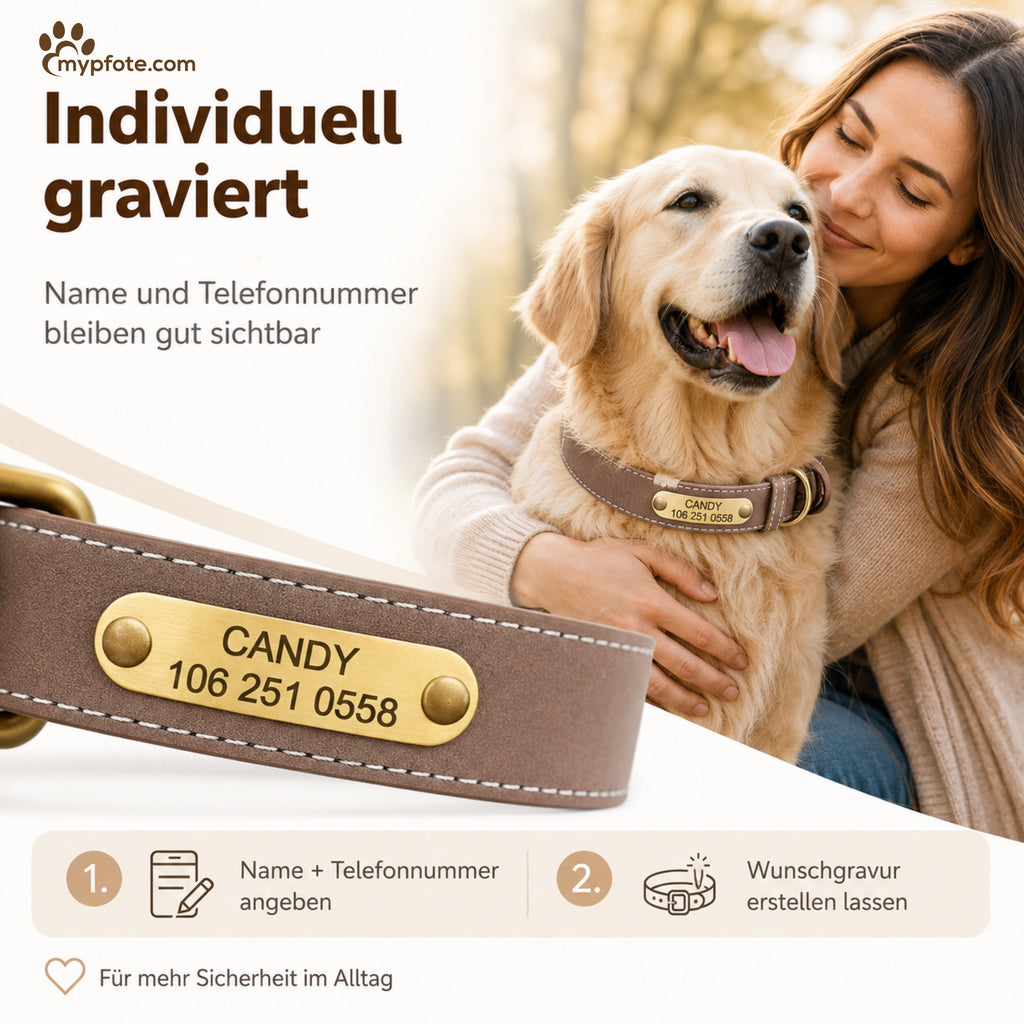 Wunderschönes Reflektions Hundehalsband mit Namen graviert