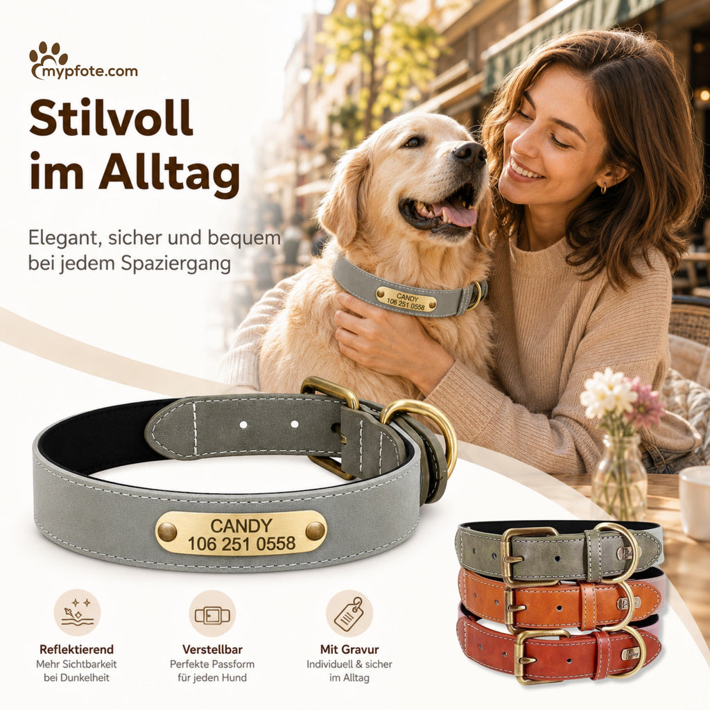 Wunderschönes Reflektions Hundehalsband mit Namen graviert