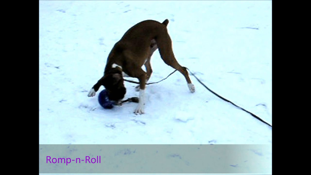 Jolly Romp-n-Roll Blau M (15 cm)