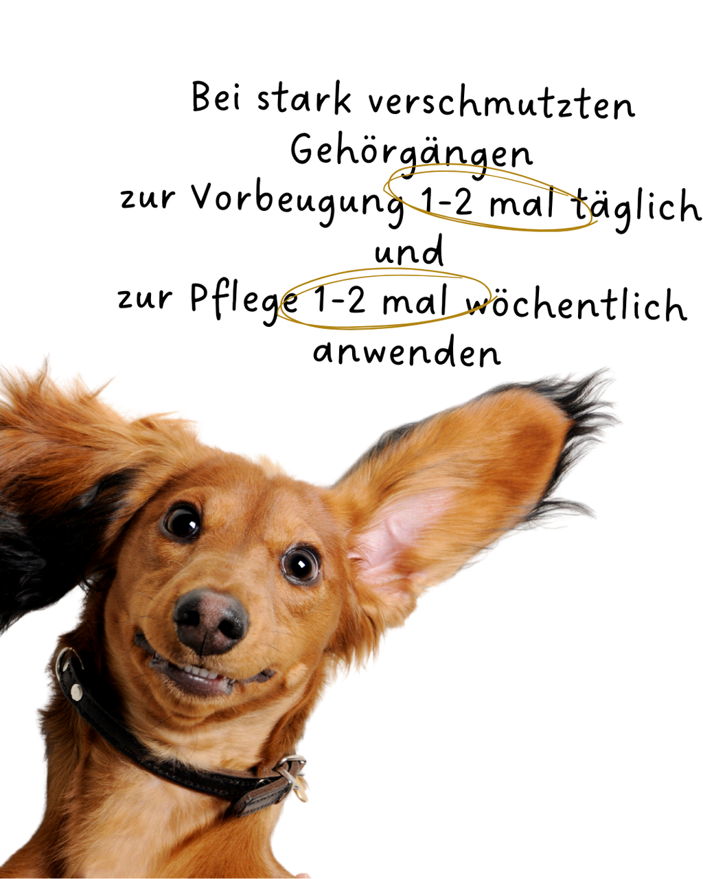 Riolino PureEars– Sanfte Reinigung für empfindliche Ohren - TierVita