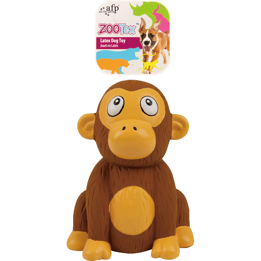 AFP ZooTex Chistopher Chimp