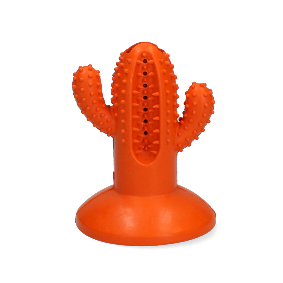 AFP Dental Chews - Dental Cactus M Orange