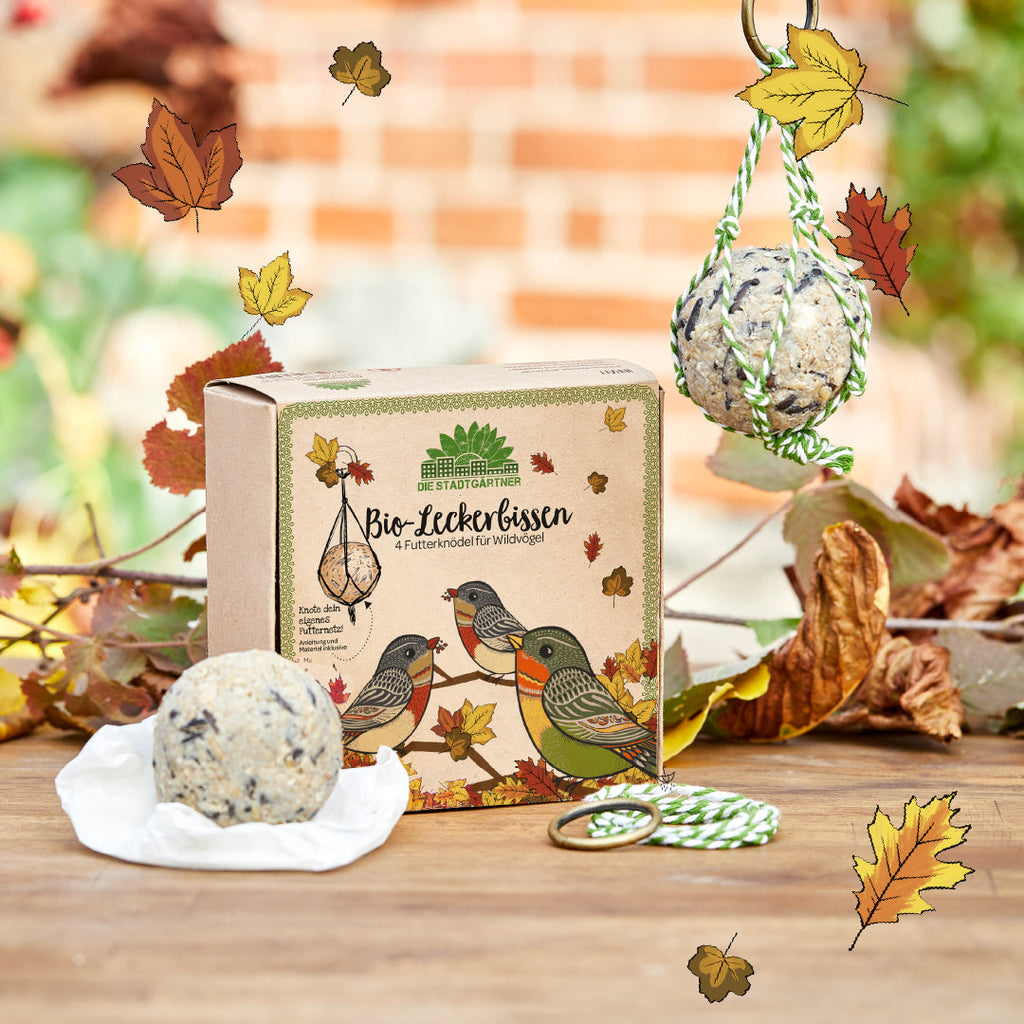 4 BIO-Leckerbissen – Futterknödel - TierVita