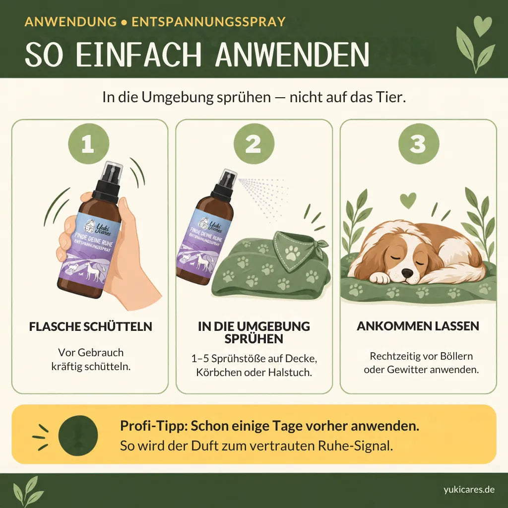 Entspannungsspray Cool down 100ml