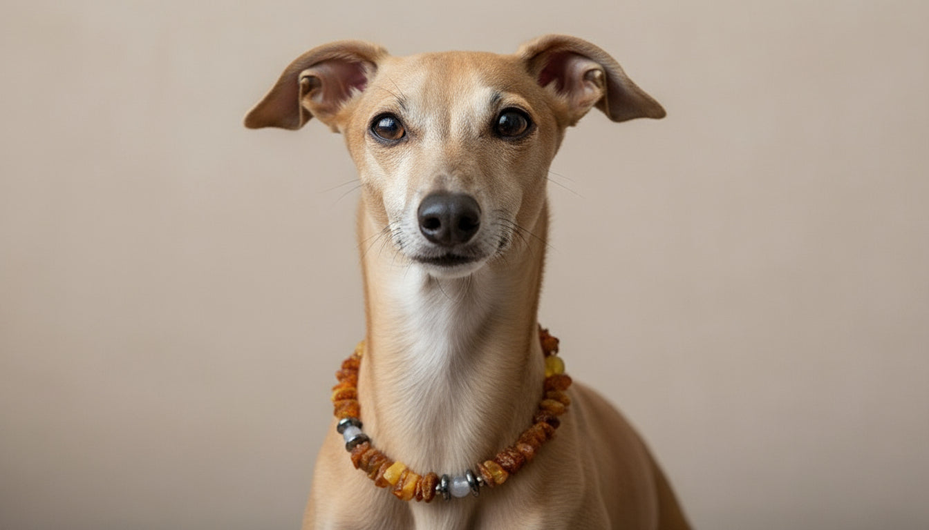 Hunde Bernsteinkette mit Achat und Hämatit Länge 22cm - TierVita