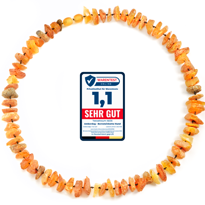 Hunde Bernsteinkette Sonne - TierVita