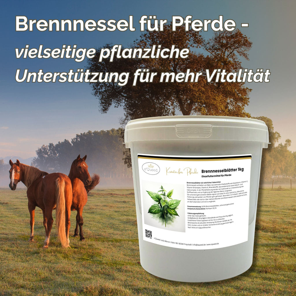 Brennnessel Pferd 1kg - TierVita