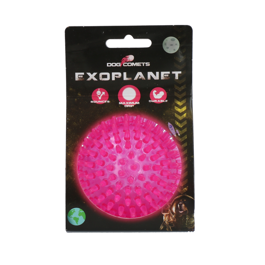 Dog Comets Exoplanet Igelball M Rosa