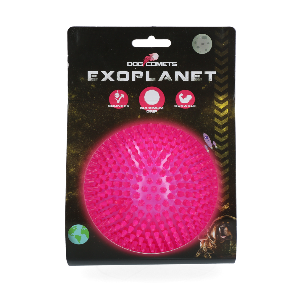 Dog Comets Exoplanet Igelball L Rosa