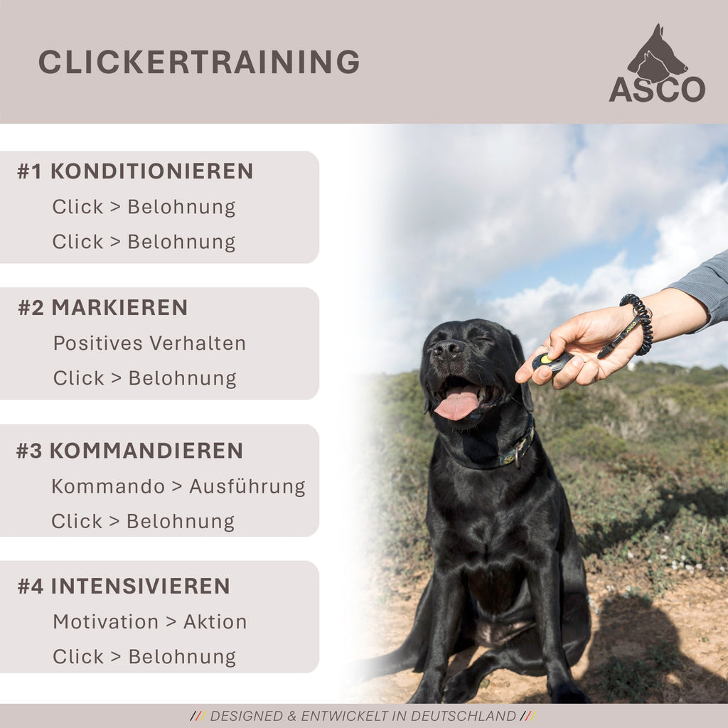ASCO Finger Clicker – Clickertraining Premium Klicker für Hunde, Katzen, Pferde - TierVita