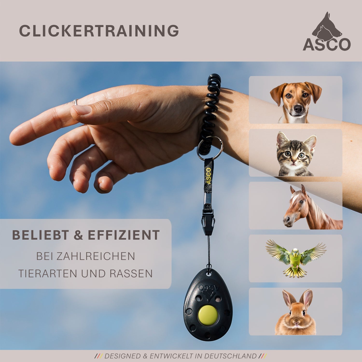 ASCO Finger Clicker – Clickertraining Premium Klicker für Hunde, Katzen, Pferde - TierVita