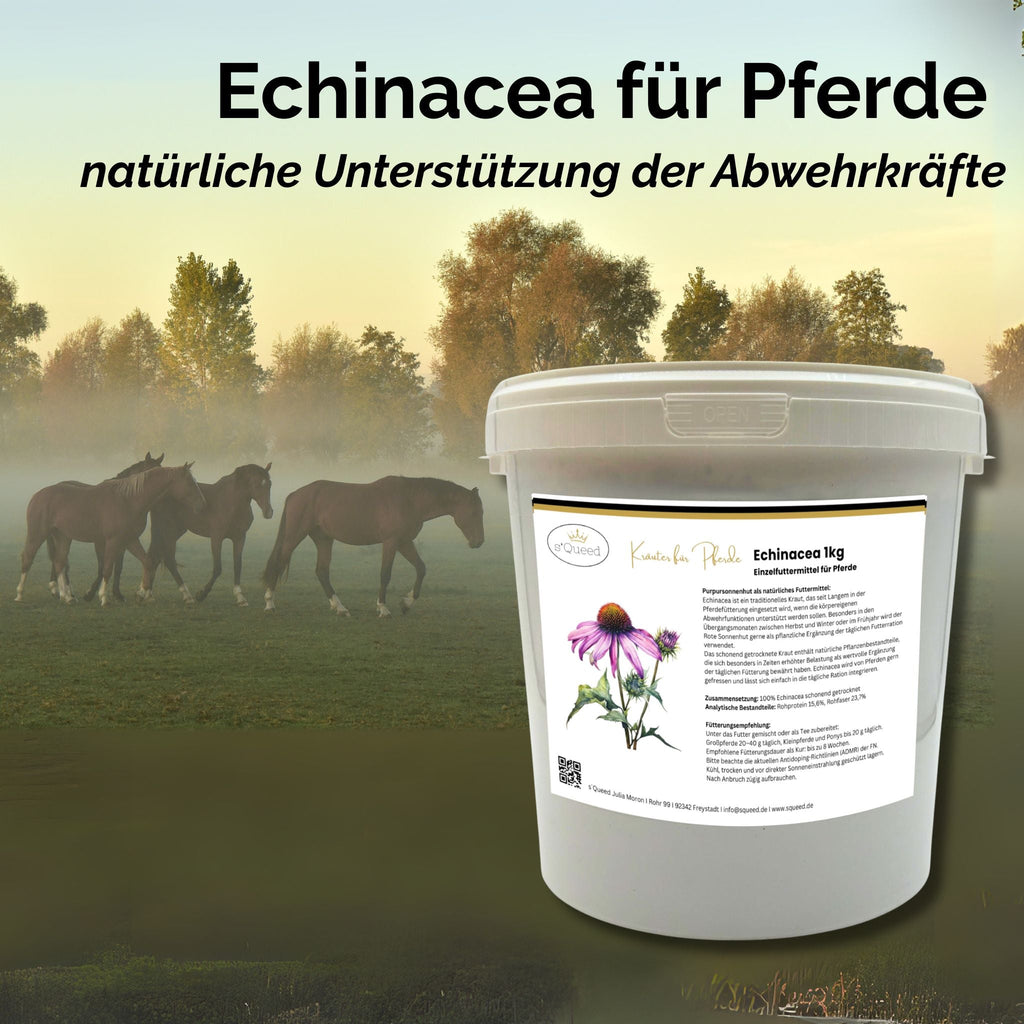 Echinacea Pferd 1kg - TierVita