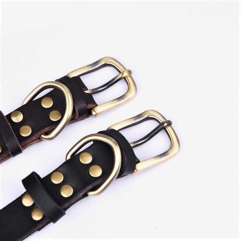 Echtleder Hundehalsband mit Messingschnalle in vier Farben und gratis Gravur Name und Telefon