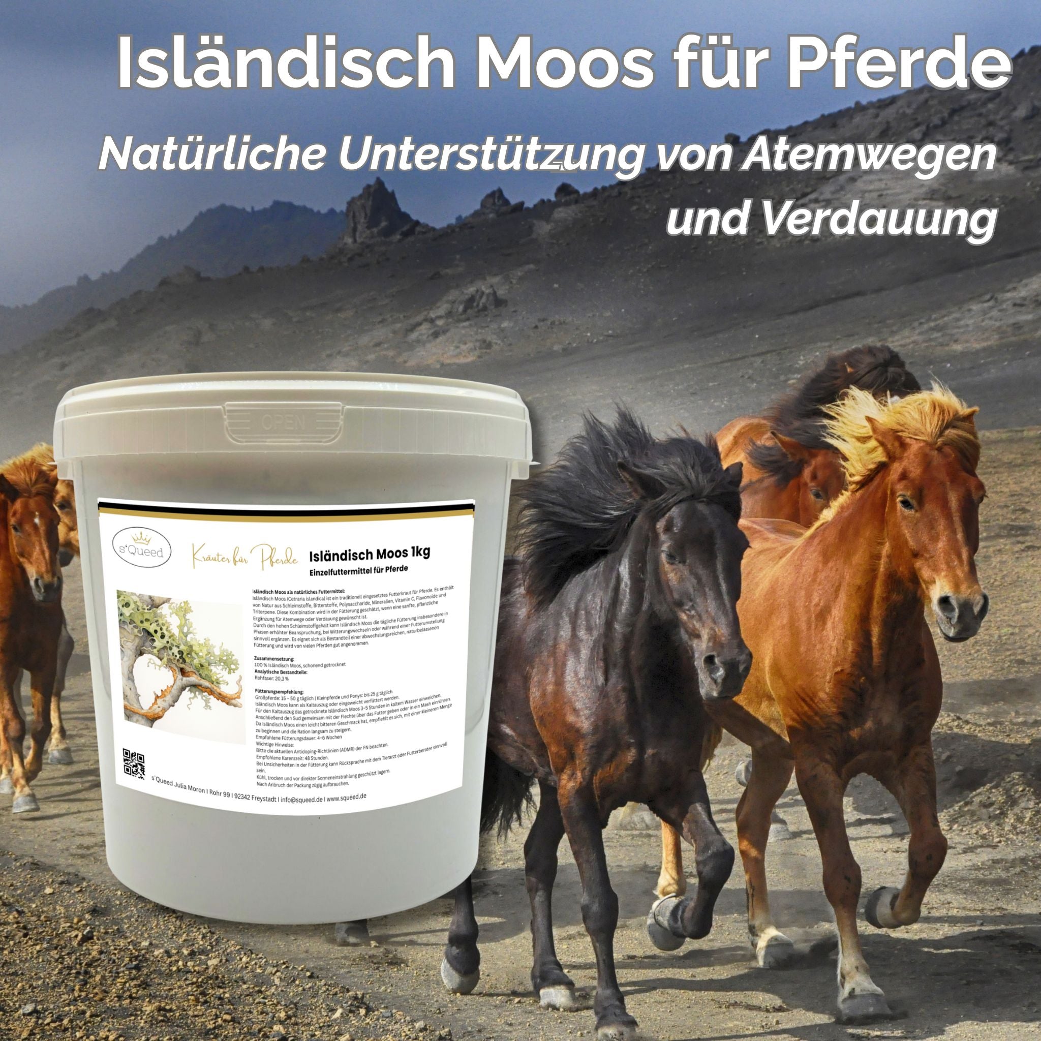 Isländisch Moos 1kg für Pferde – Atemwege & Verdauung