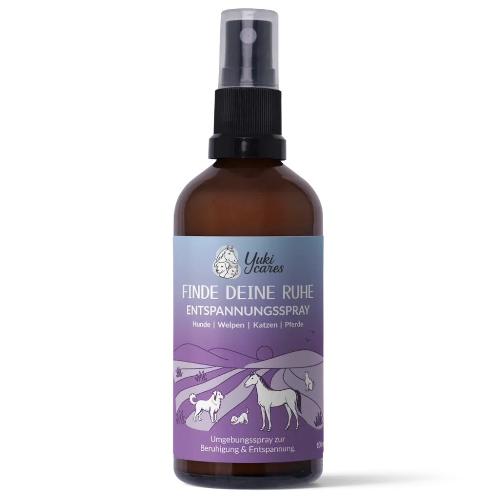 Entspannungsspray Cool down 100ml