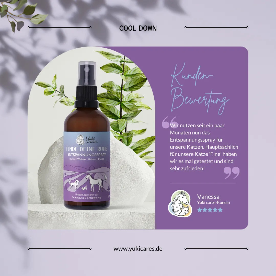 Entspannungsspray Cool down 100ml