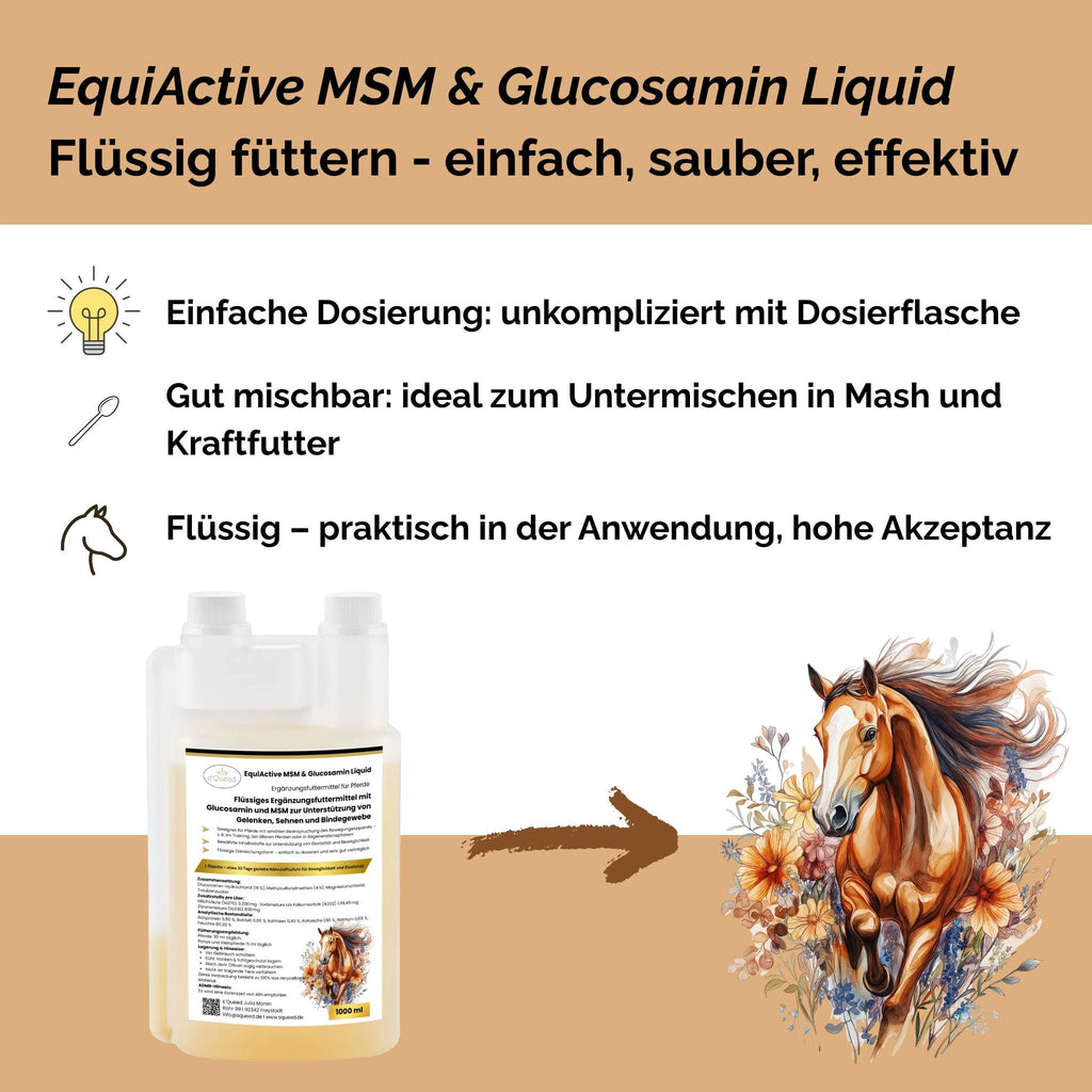 EquiActive MSM & Glucosamin Pferd Liquid 1000ml - TierVita
