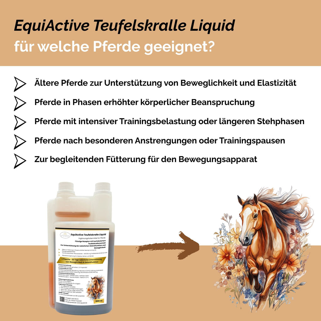 EquiActive Teufelskralle Liquid – Teufelskralle Pferd flüssig 1000 ml - TierVita