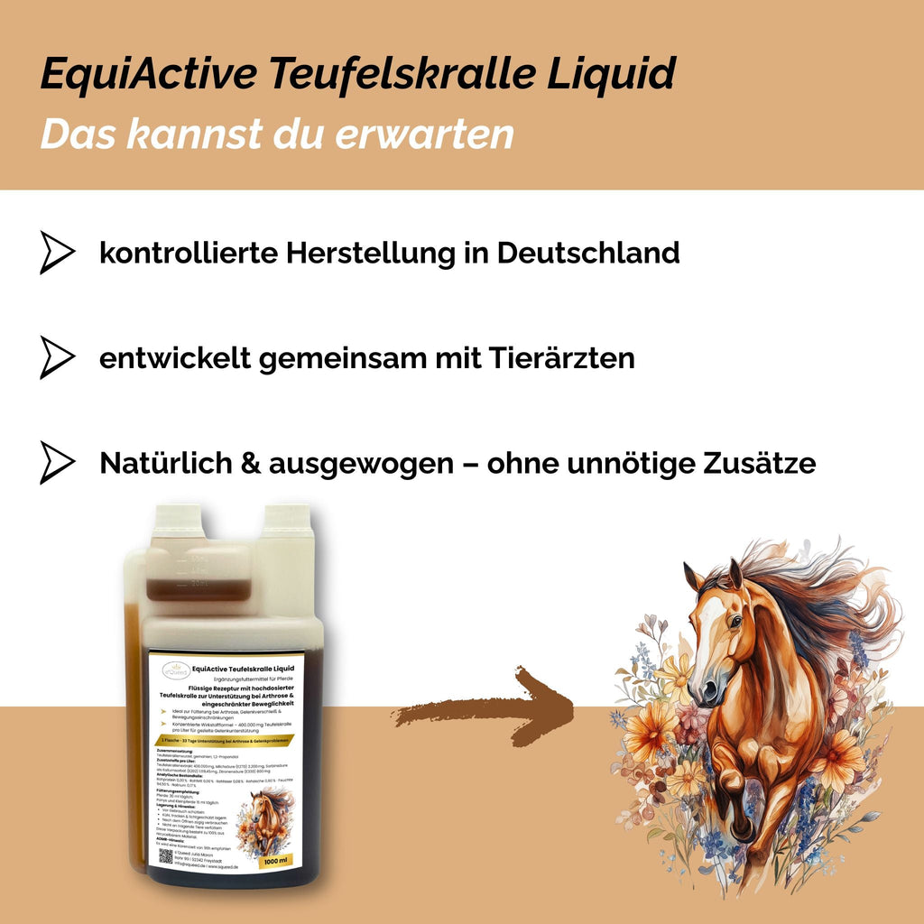 EquiActive Teufelskralle Liquid – Teufelskralle Pferd flüssig 1000 ml - TierVita