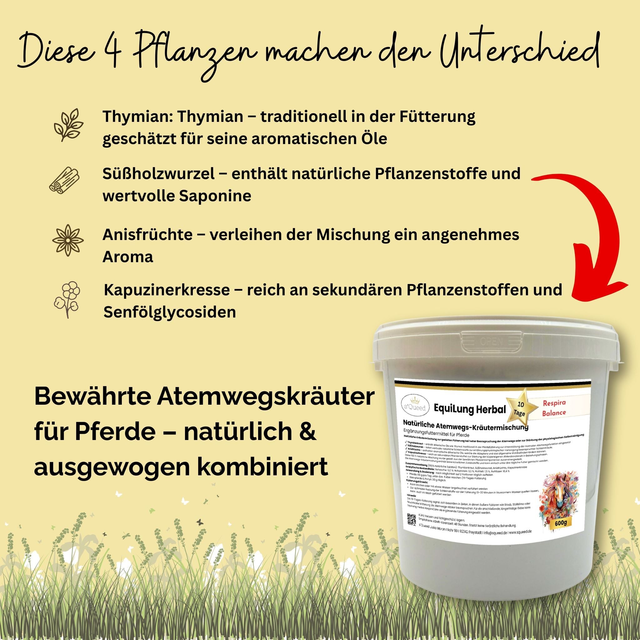 Kräutermischung EquiLung Herbal RespiraBalance für Pferde – Atemwege