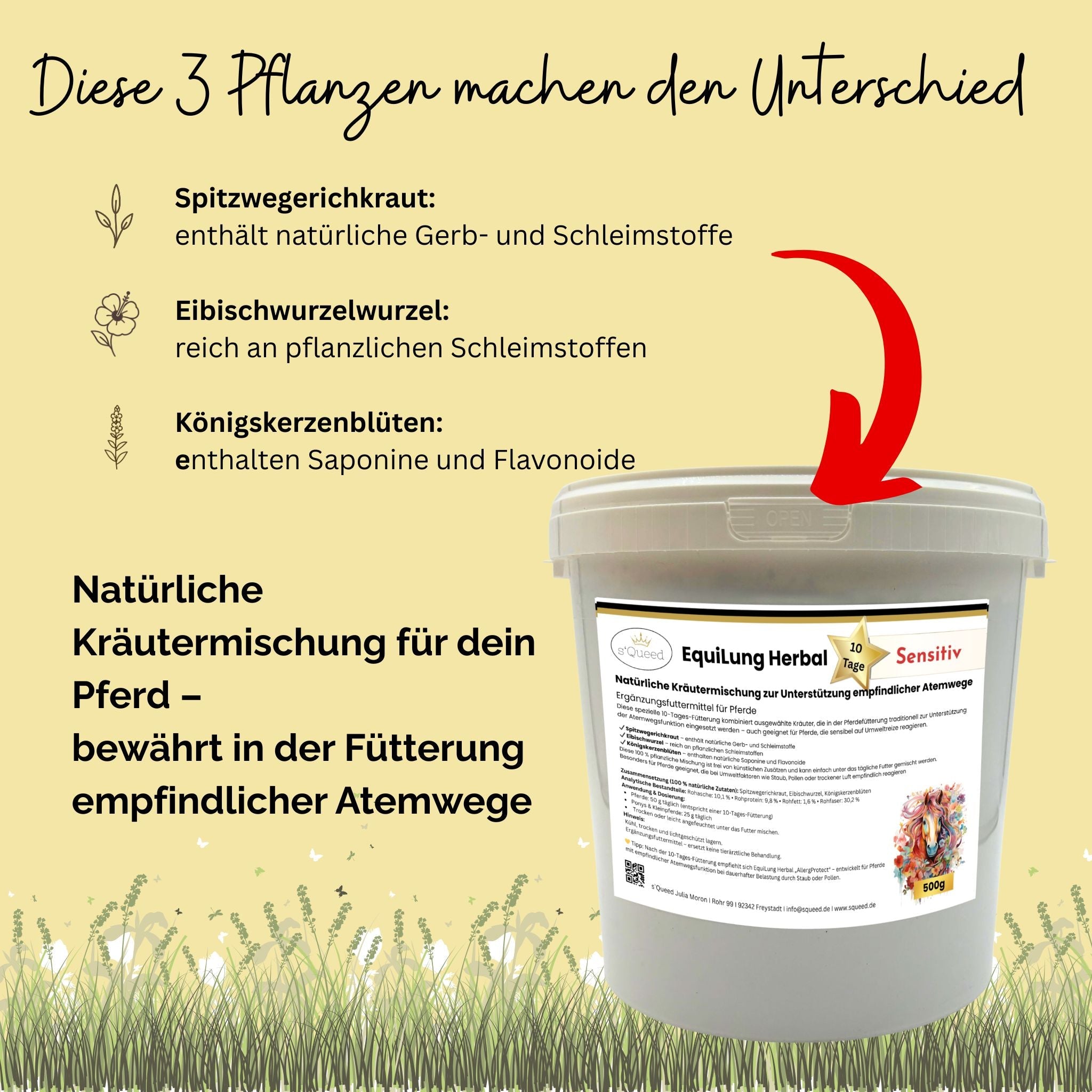 EquiLung Herbal Sensitiv – Hustenkräuter für Pferde zur Unterstützung empfindlicher Atemwege (10 Tage Fütterung) - TierVita