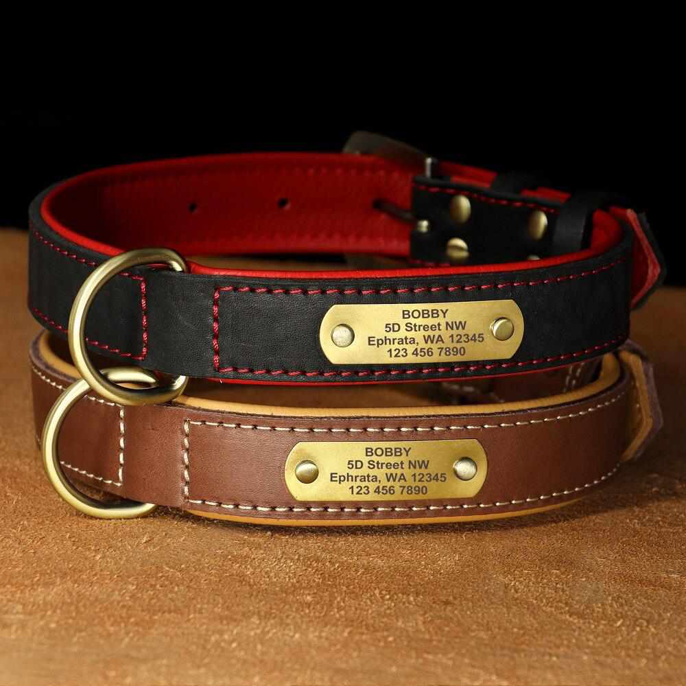 Exklusives Leder Hundehalsband mit Namen und Telefon graviert