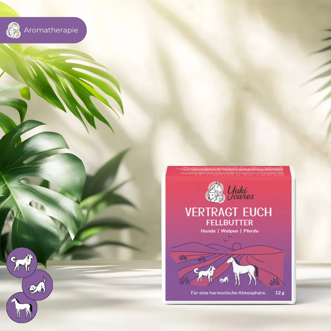 Fellbutter Vertragt euch