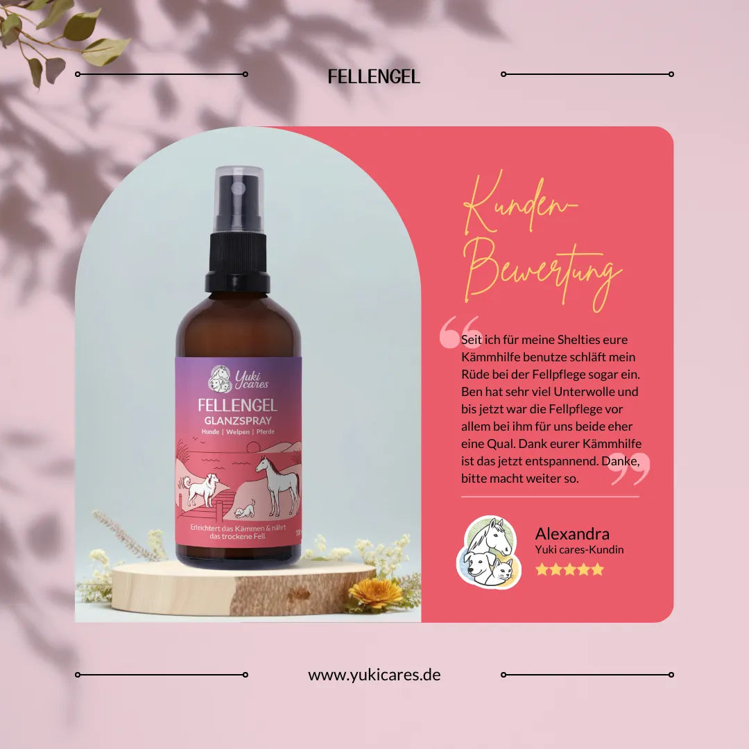 Conditioner Kämmhilfe