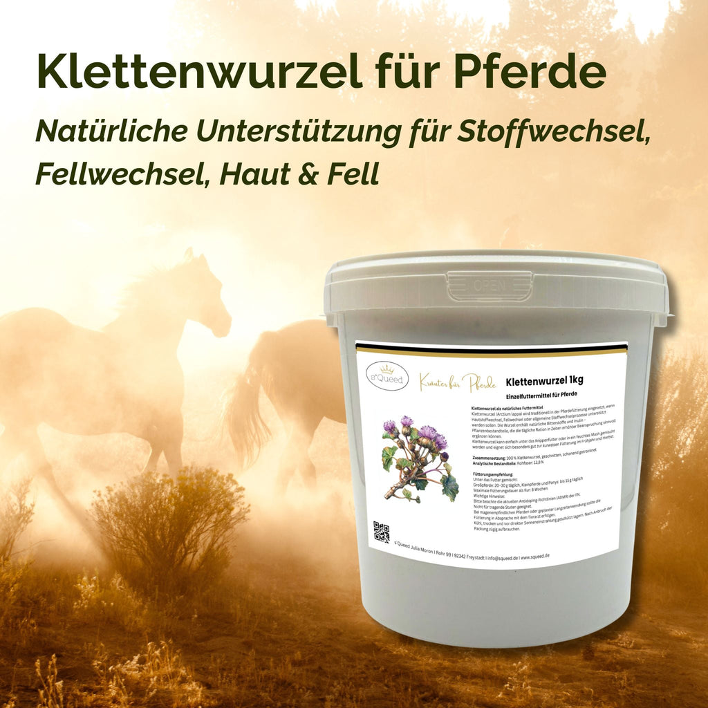 Klettenwurzel Pferd 1kg - TierVita