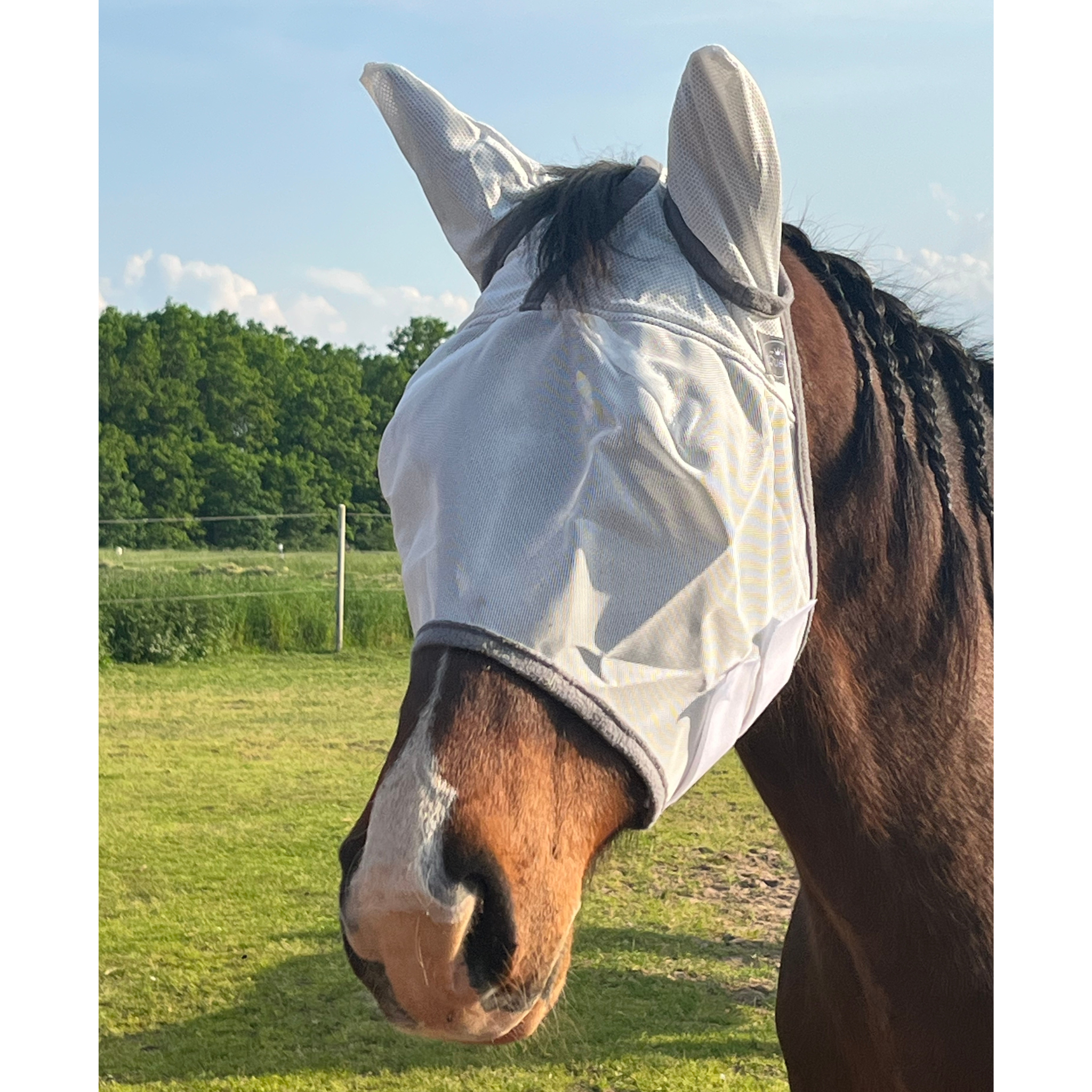 Fliegenmaske Fliegenohren Fliegenschutz für Pferde - TierVita