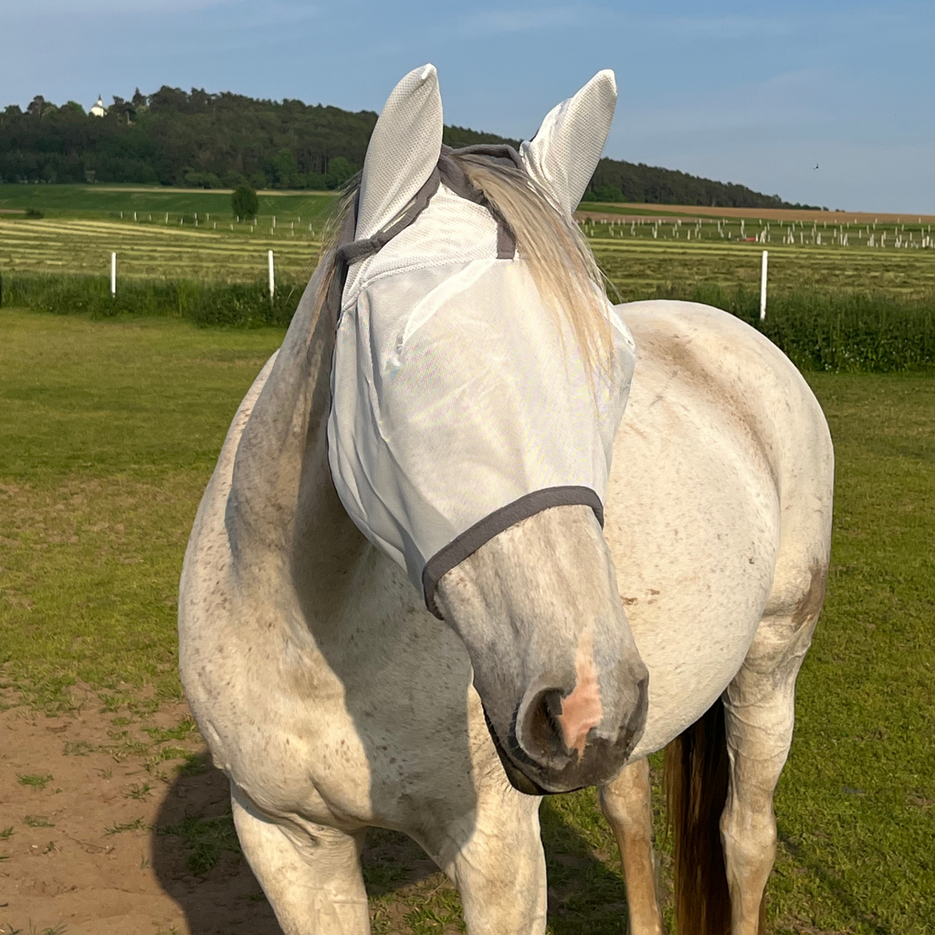 Fliegenmaske Fliegenohren Fliegenschutz für Pferde - TierVita