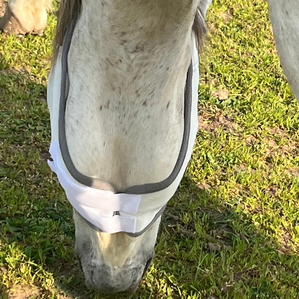 Fliegenmaske Fliegenohren Fliegenschutz für Pferde - TierVita