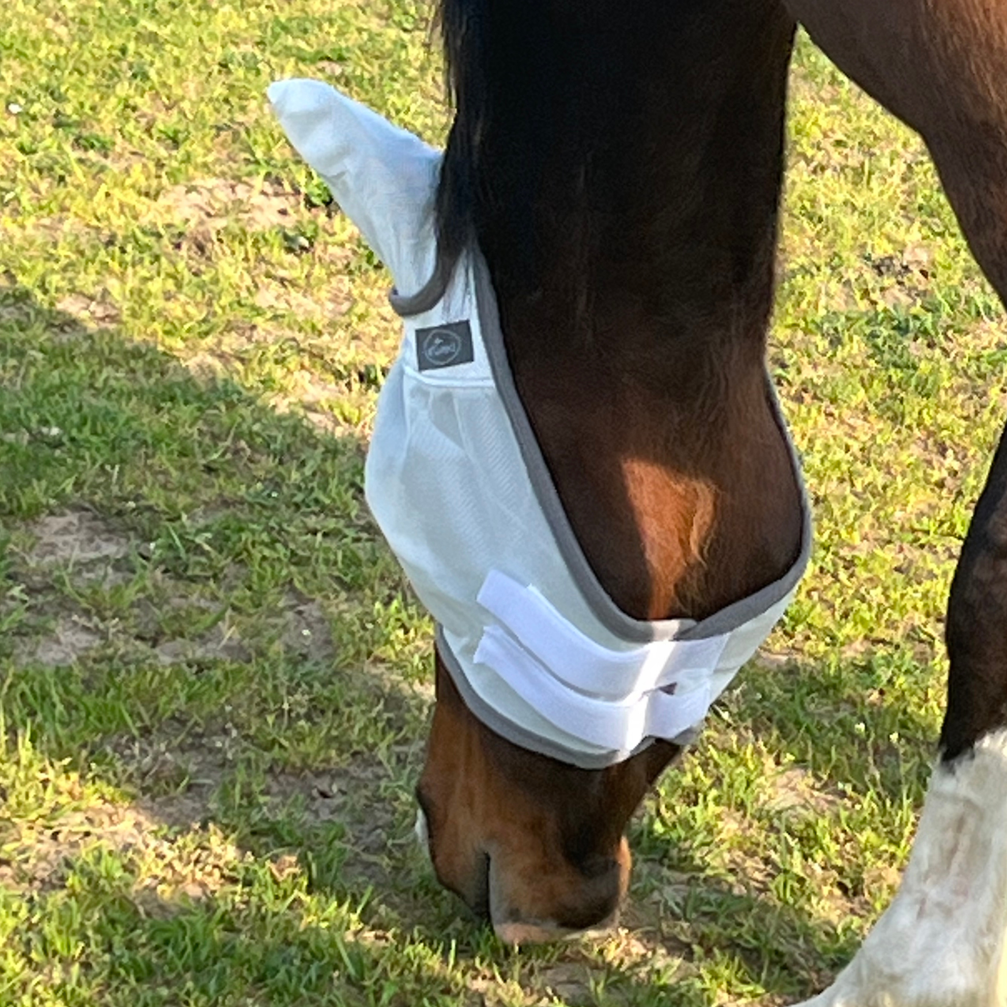 Fliegenmaske Fliegenohren Fliegenschutz für Pferde - TierVita