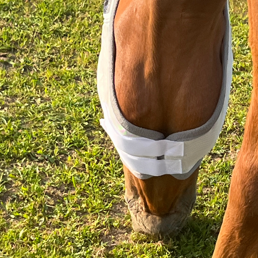 Fliegenmaske Fliegenohren Fliegenschutz für Pferde - TierVita