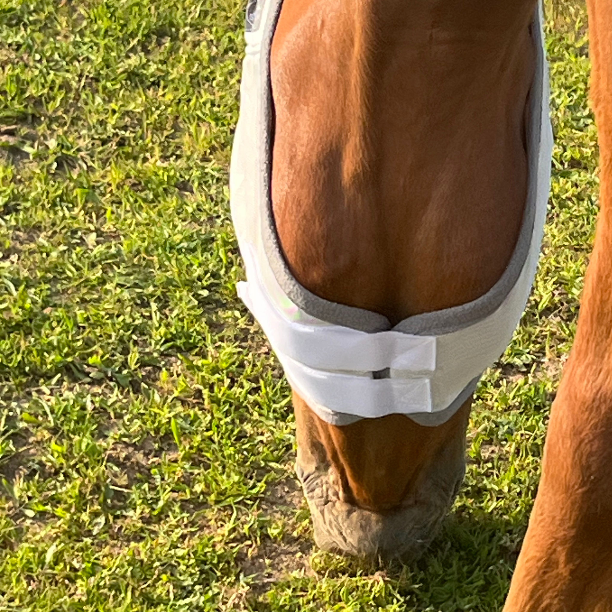 Fliegenmaske Fliegenohren Fliegenschutz für Pferde - TierVita