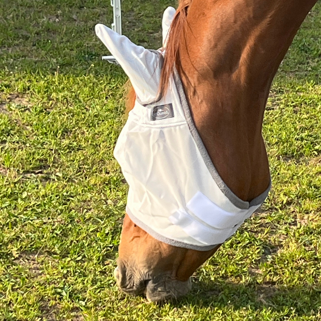 Fliegenmaske Fliegenohren Fliegenschutz für Pferde - TierVita