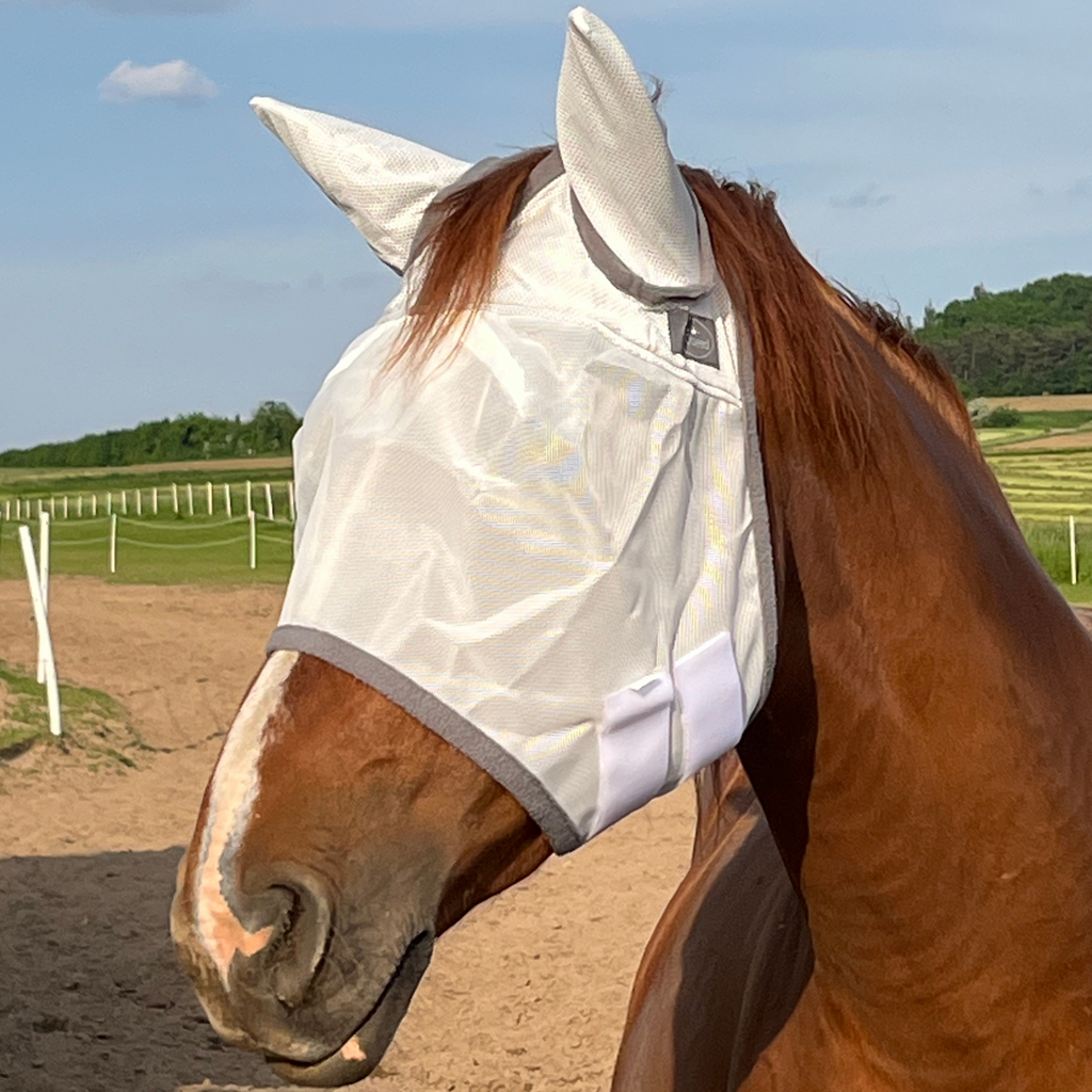 Fliegenmaske Fliegenohren Fliegenschutz für Pferde - TierVita