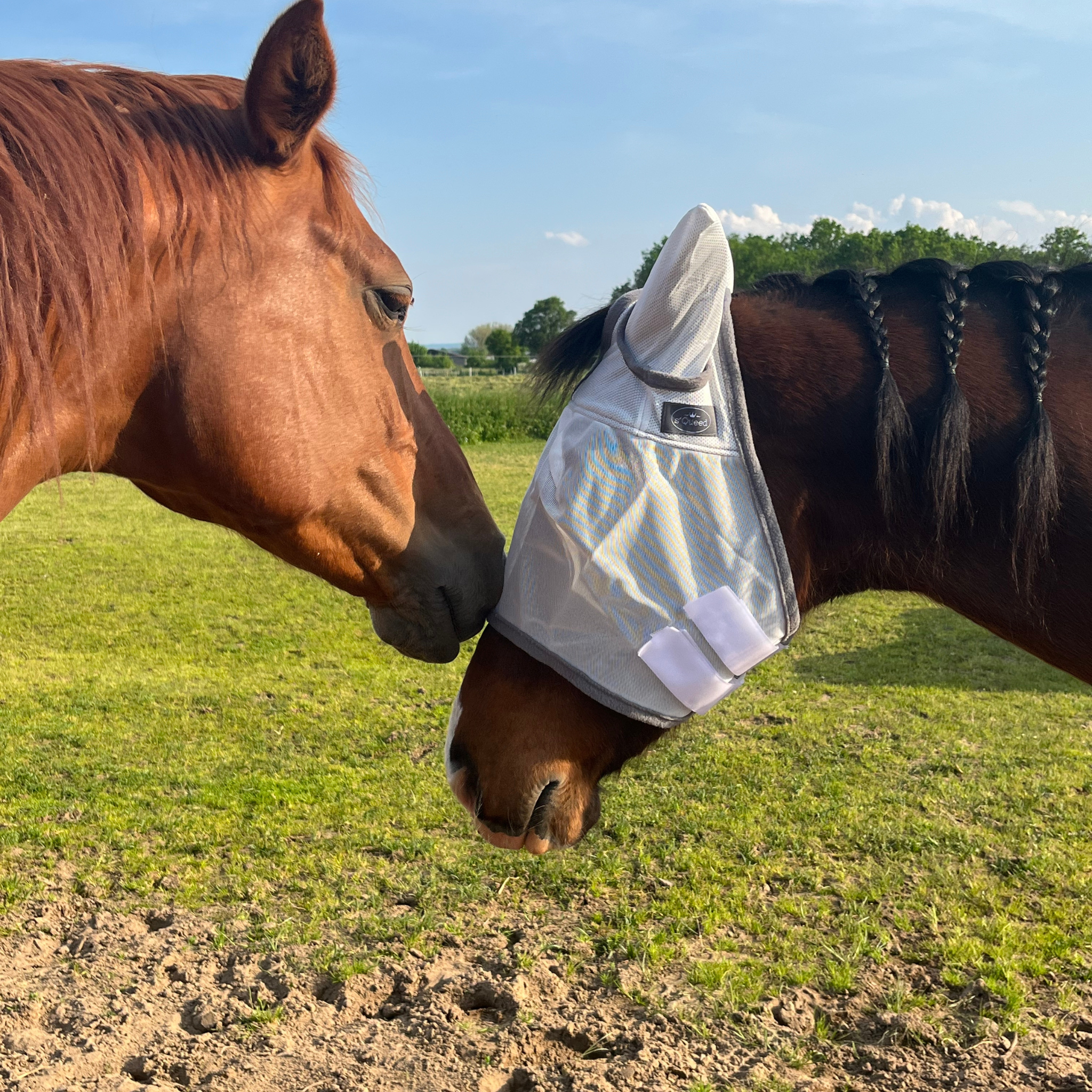 Fliegenmaske Fliegenohren Fliegenschutz für Pferde - TierVita