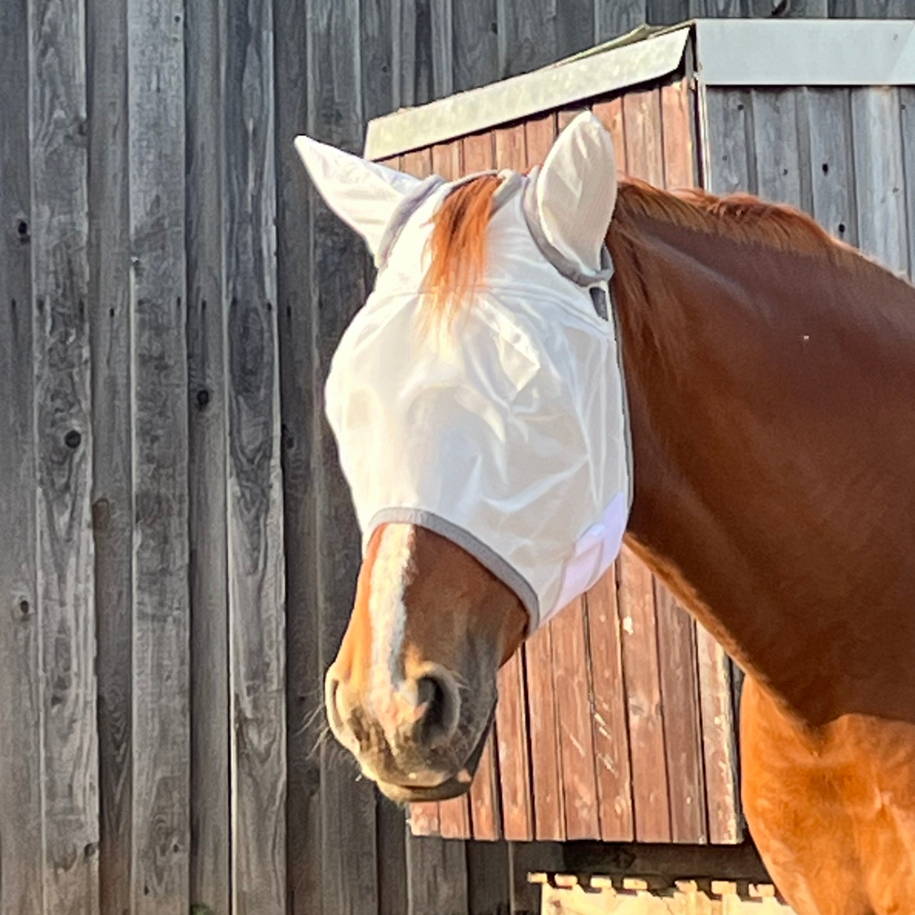 Fliegenmaske Fliegenohren Fliegenschutz für Pferde - TierVita