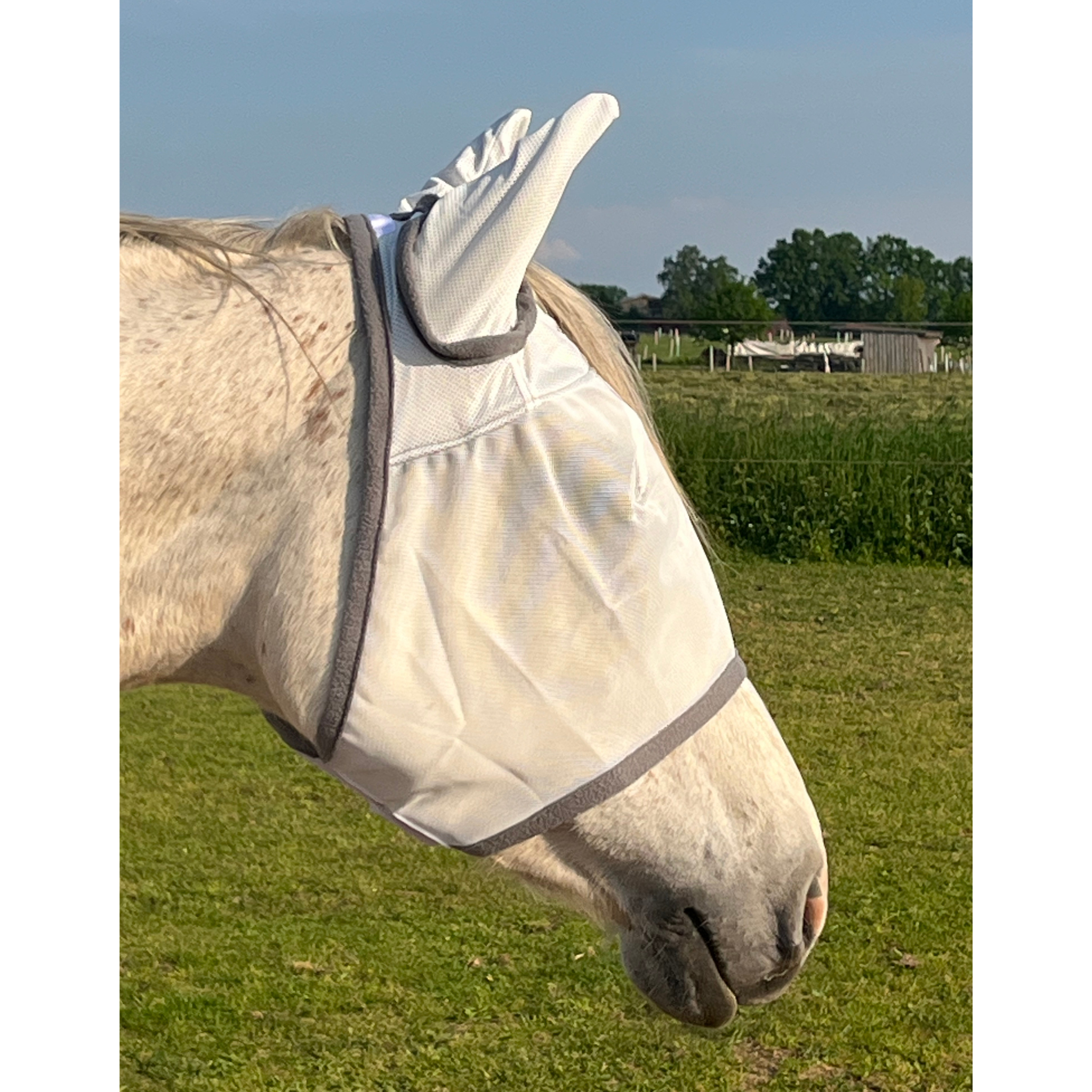 Fliegenmaske Fliegenohren Fliegenschutz für Pferde - TierVita