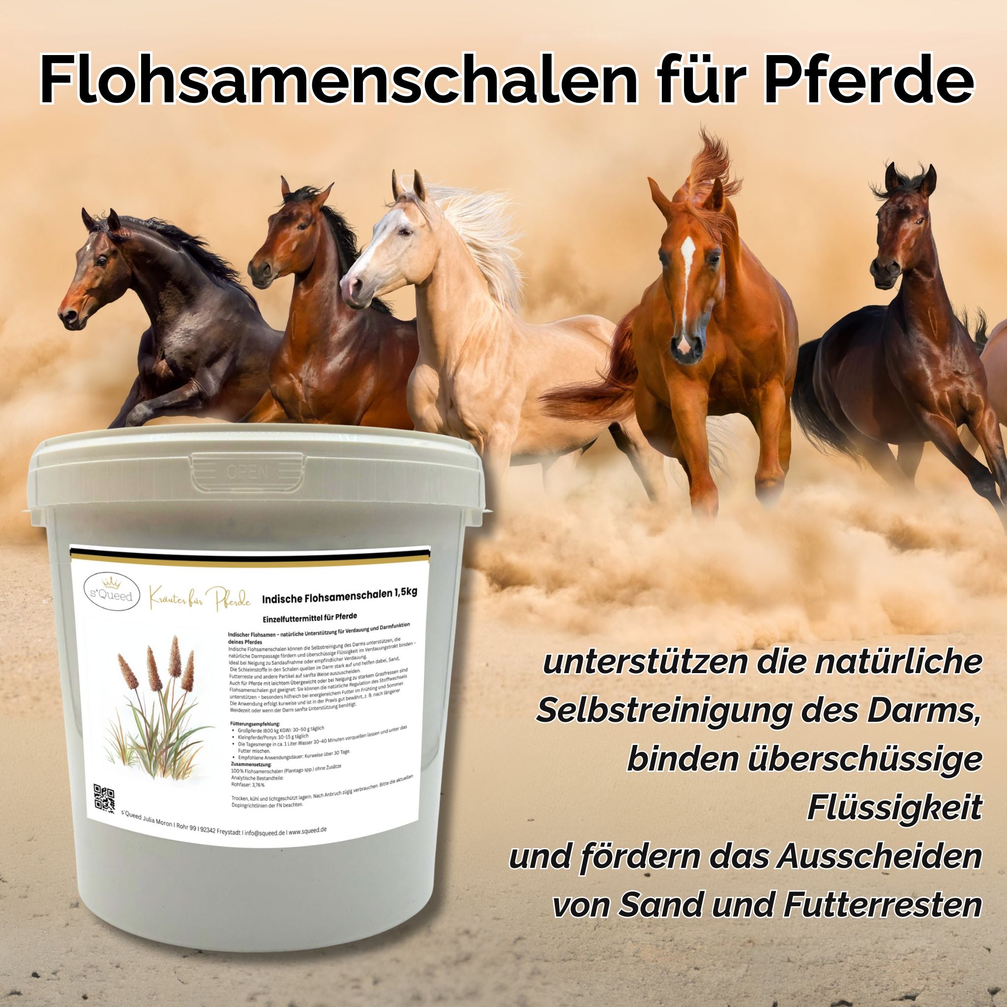 Flohsamenschalen Pferd 1,5 kg - bei Kotwasser und empfindlicher Verdauung - TierVita
