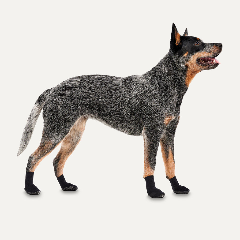 Goo-eez Dog Boots Ultras 2 Per Pack S Schwarz