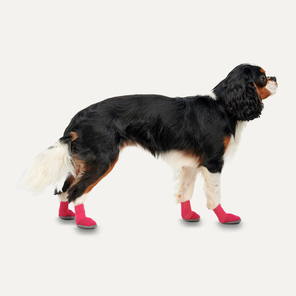 Goo-eez Dog Boots Ultras 2 Per Pack S Rot/Schwarz
