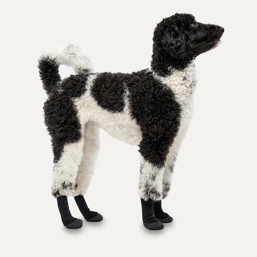 Goo-eez Dog Boots Lites 4 Per Pack L Camo/Schwarz