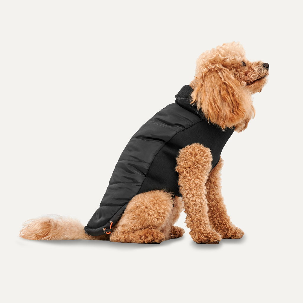Goo-eez Mock Neck Signature Wrap Jacket XXS Schwarz