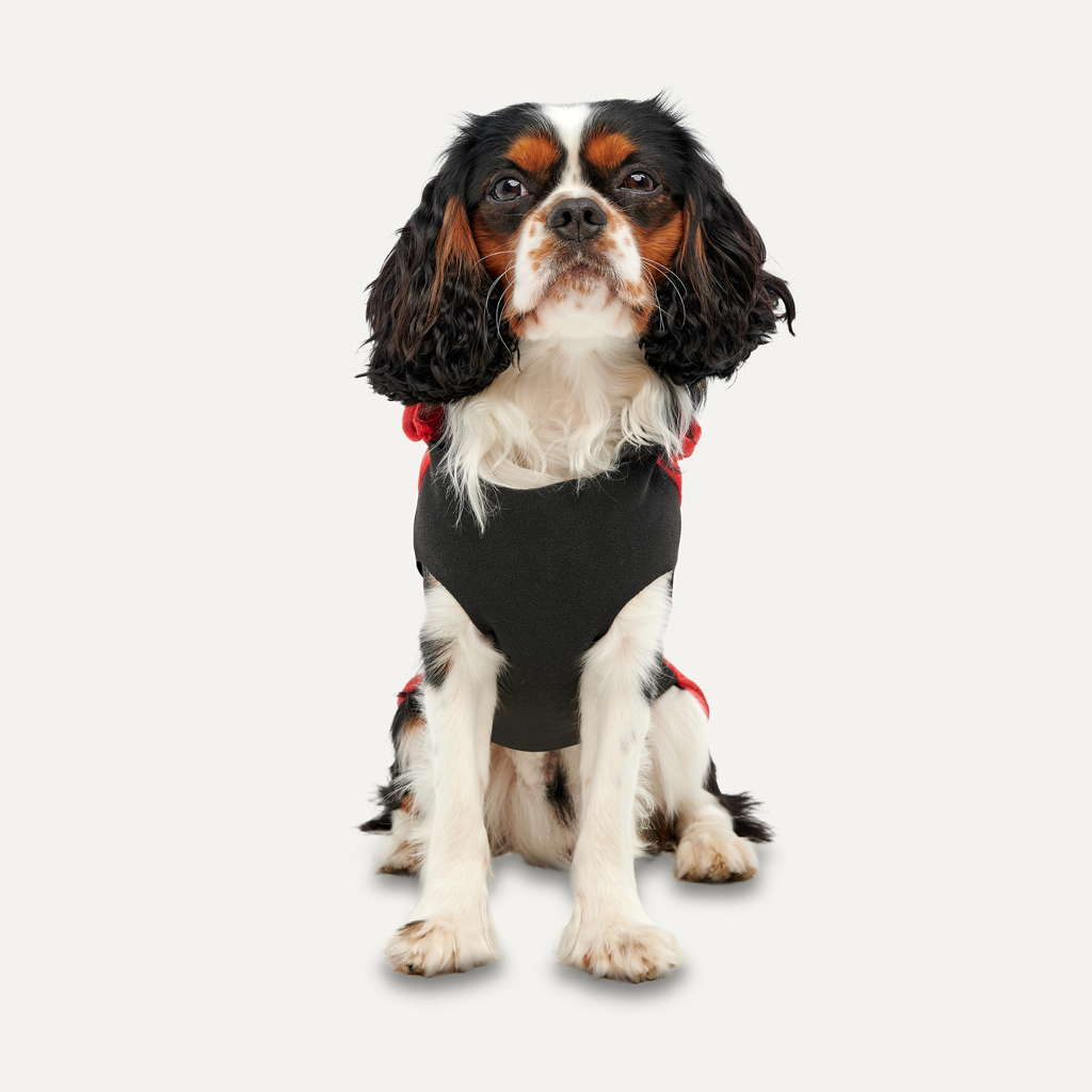 Goo-eez Kangaroo Fleece Hoodie S Rot/Schwarz