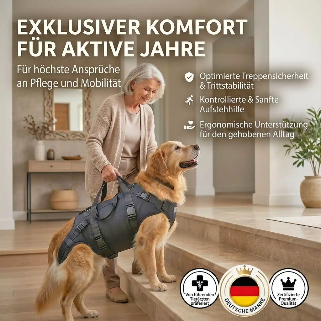 Durchgehende Tragehilfe für Hunde
